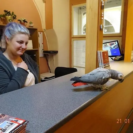 U Dvou Zlatych Klicu Hotel Prague