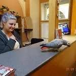 U Dvou Zlatych Klicu Hotel Praag