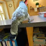 Hotel U Dvou Zlatych Klicu