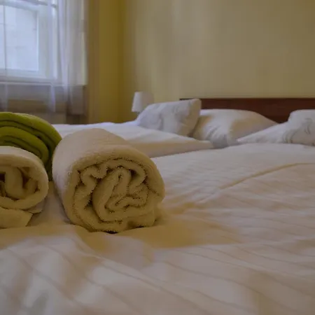 U Dvou Zlatych Klicu Hotel 3*