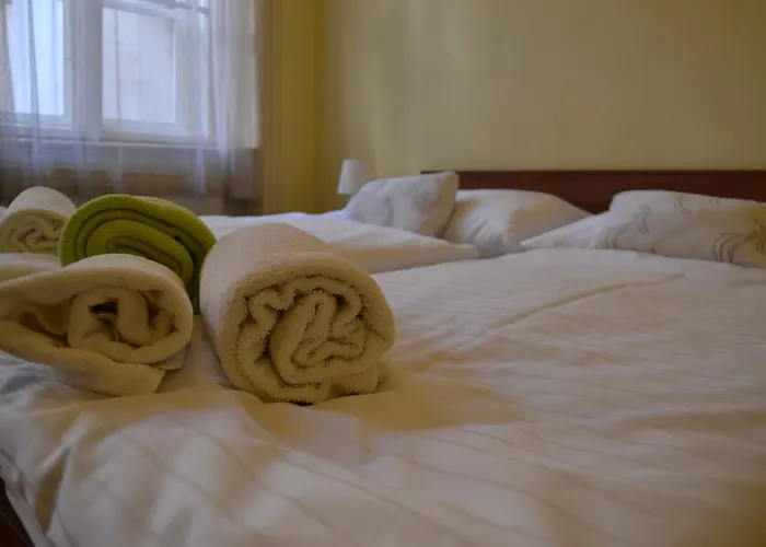 U Dvou Zlatych Klicu Hotel 3*