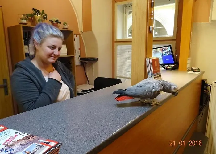 U Dvou Zlatych Klicu Hotel Prag
