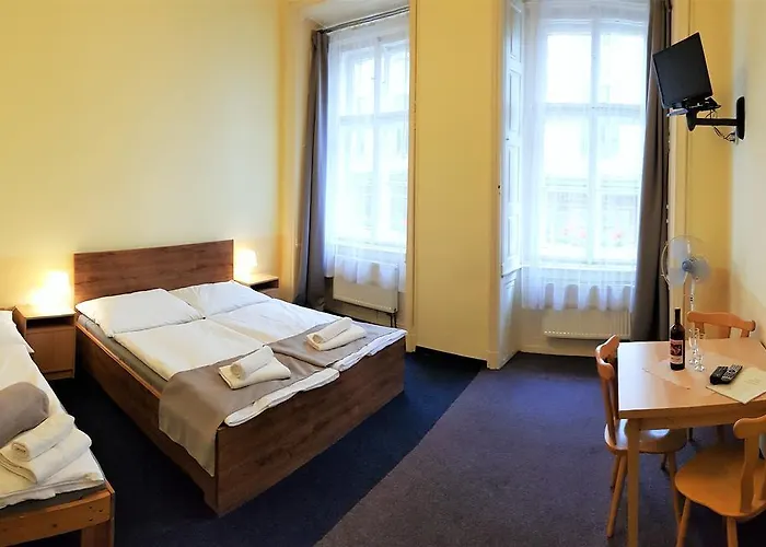Hotel U Dvou Zlatych Klicu 3*